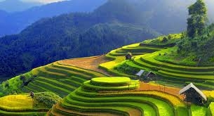 Sapa trekking trekking tour 3 days 3 nights